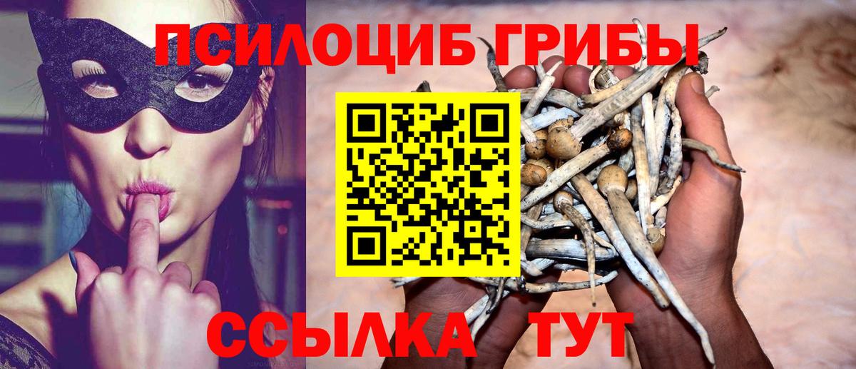 Псилоцибиновые грибы мицелий Ахтубинск