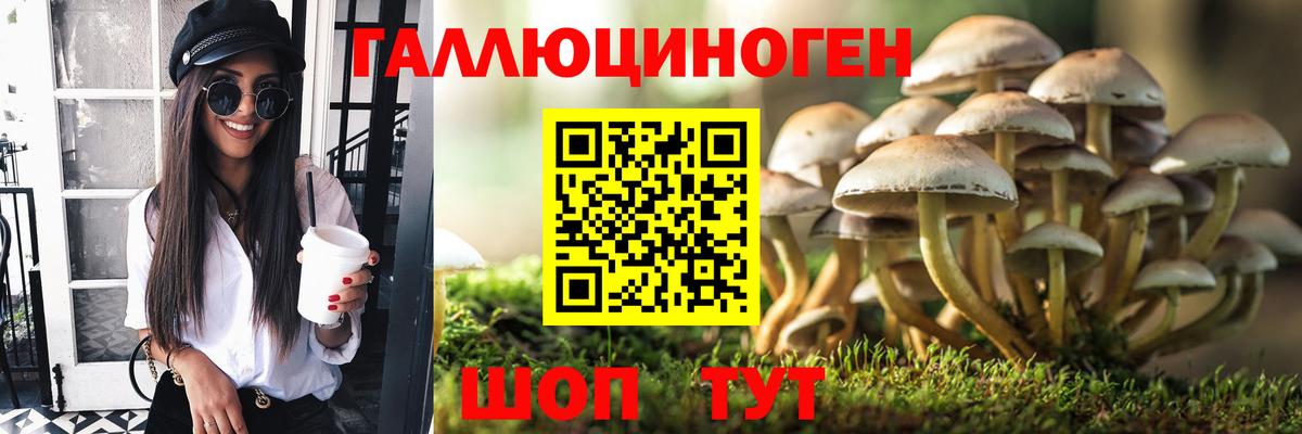 Ахтубинск  Галлюциногенные грибы мухоморы  Вход с VPN 